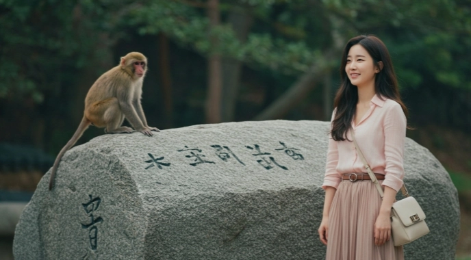 무신일주 - 굳건한 바위산에 앉은 원숭이, 강인함과 재치의 조화 6 무신일주 - 굳건한 바위산에 앉은 원숭이, 강인함과 재치의 조화