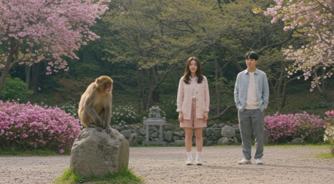 무신일주 - 굳건한 바위산에 앉은 원숭이, 강인함과 재치의 조화 10 무신일주 - 굳건한 바위산에 앉은 원숭이, 강인함과 재치의 조화