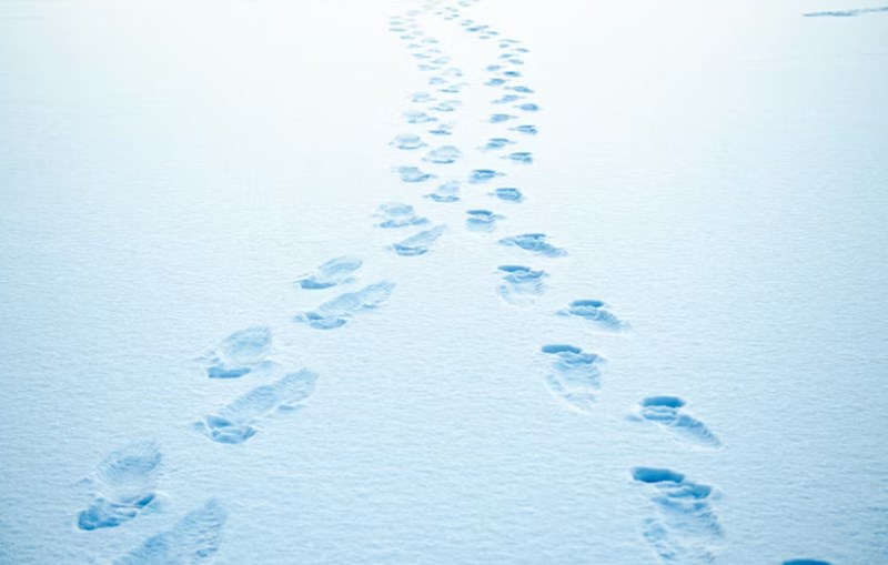 계축일주(+ 겨울밤 촉촉한 검은 소, 인내와 끈기 속에 숨겨진 강인함) 3 20251122150336660