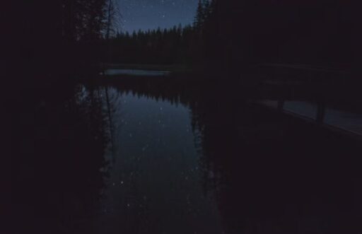 계해일주(癸亥日柱)의 종결과 시원의 철학적 고찰과 실천적 운명론 15