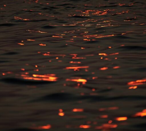 임술일주(壬戌日柱)의 명리학적 심층 고찰과 사회역학적 특성 3