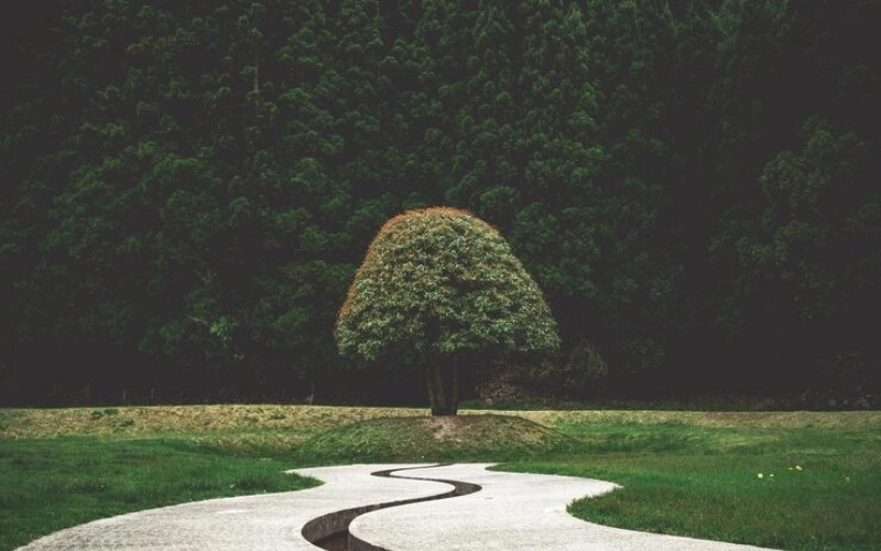 용 희 기 구 한 - 삶의 나침반, 명리학 속 오묘한 다섯 별 이야기 3