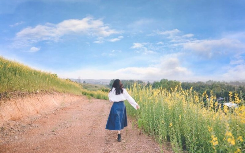 용 희 기 구 한 - 삶의 나침반, 명리학 속 오묘한 다섯 별 이야기 5