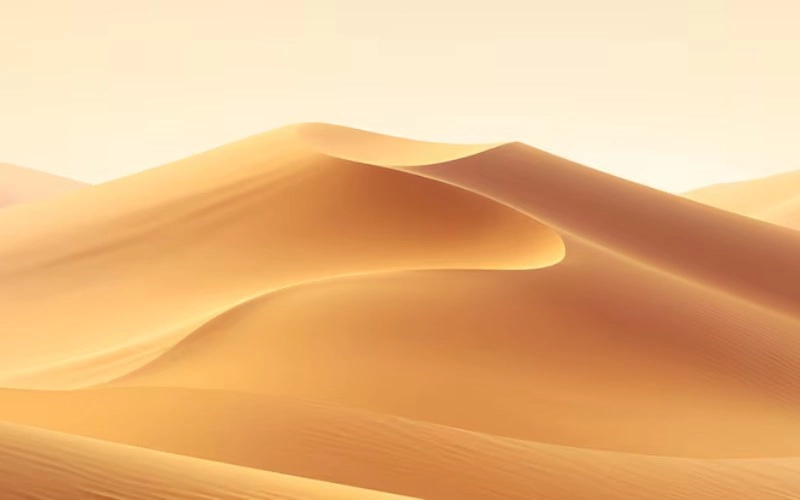 기미일주 기미일주 성격과 2026년 대박 나는 재물운의 비밀 모든 것 1