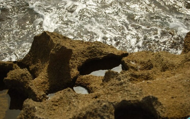 기해일주 기해일주 소름 돋는 반전 성격과 2026년 대박 나는 법 3