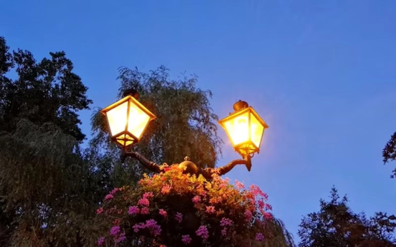 정미일주 2026년 운세와 성격 장단점 남녀 궁합까지 싹 다 알려드립니다 7