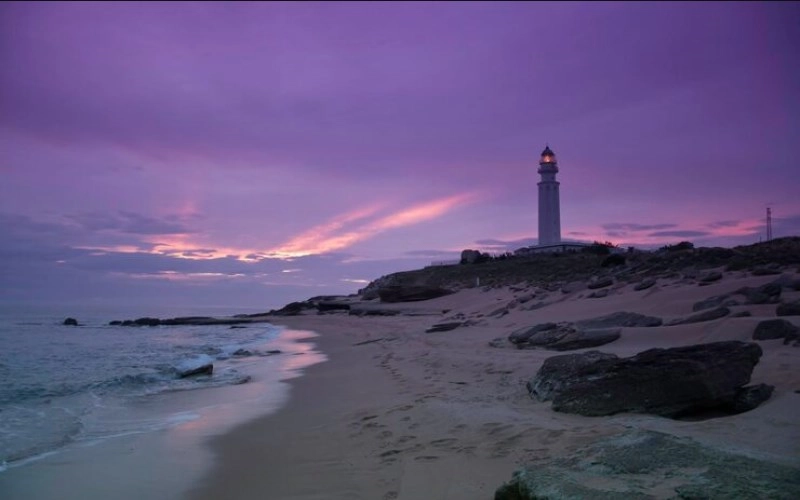 정해일주 남녀 특징과 평생 재물운이 끊이지 않는 숨겨진 이유 7