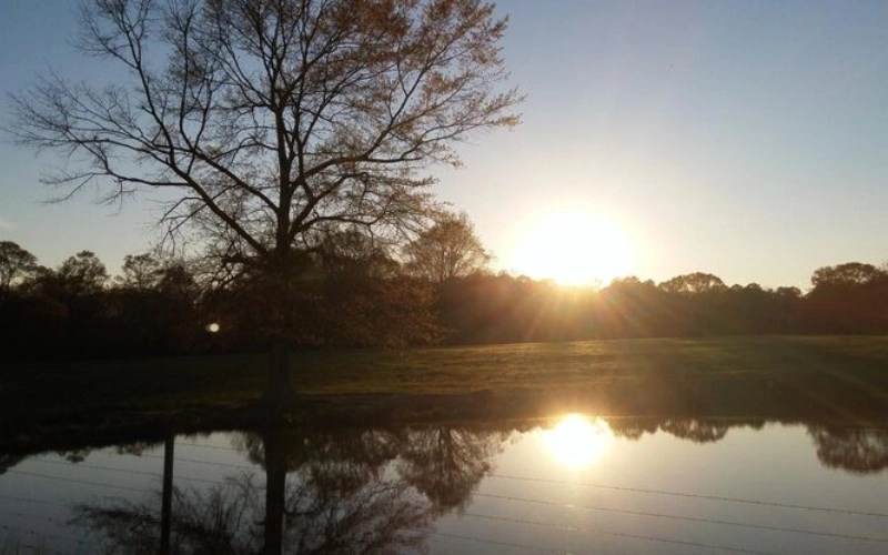 병진일주 성격과 특징 숨겨진 반전 매력과 소름 돋는 연애 궁합 비밀 7