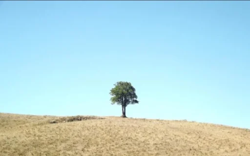 갑자일주 갑술일주 성격 남녀 특징과 재물운이 폭발하는 직업의 비밀 13