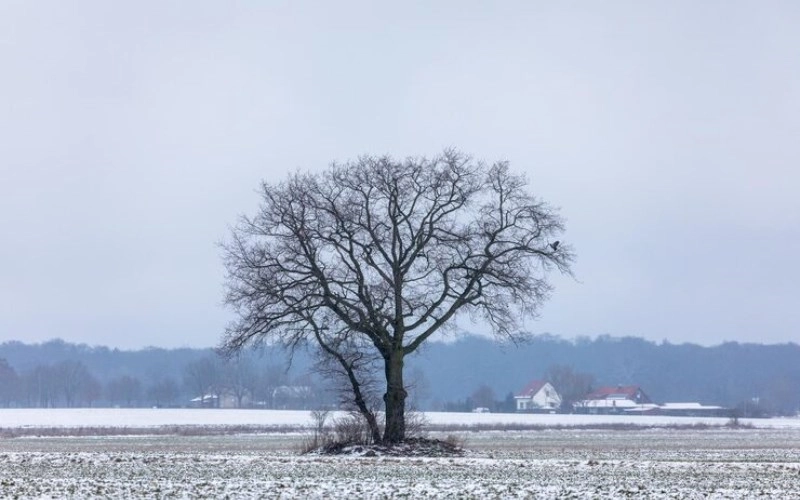 갑자일주 갑자일주 치명적인 매력의 소유자 성격과 연애 궁합의 모든 것 3