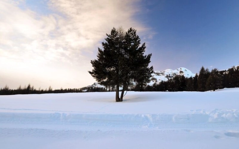 갑자일주 갑자일주 치명적인 매력의 소유자 성격과 연애 궁합의 모든 것 2