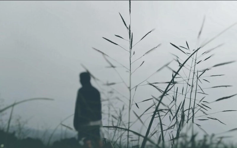 고신살, 당신의 사주에 드리운 의미와 해소법 - 고독의 그림자 5