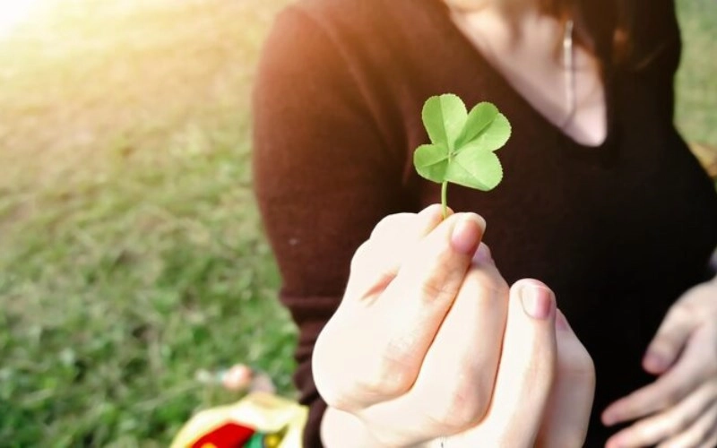 복성귀인(+ 타고난 복록, 삶에 깃드는 행복의 별) 9