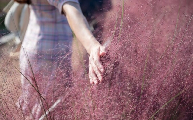 인미 귀문관살(+ 섬세하고 예민한 영혼의 소유자) 13