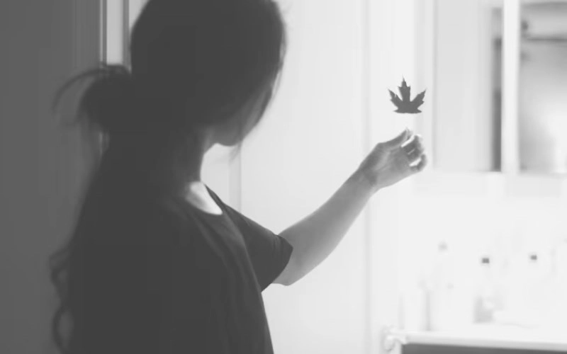 자유 귀문관살(+ 당신의 영혼을 꿰뚫는 특별한 기운) 1