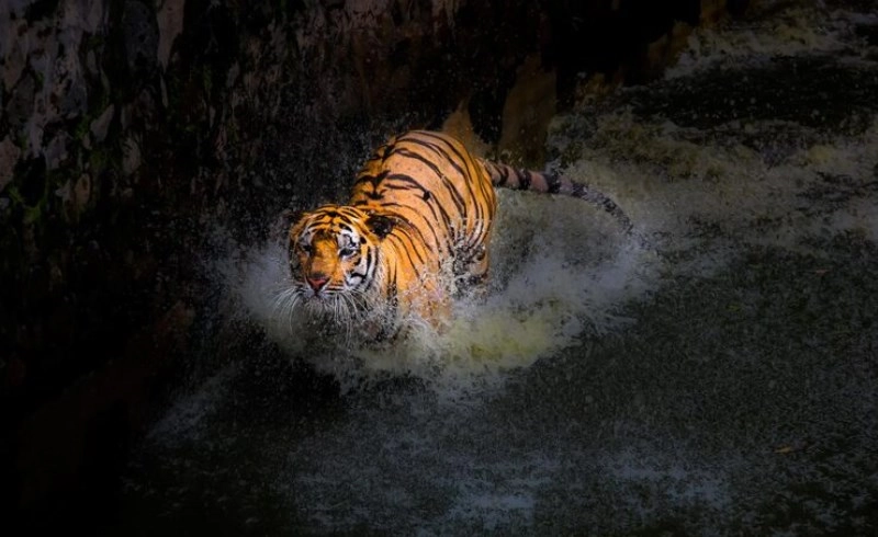 임인일주의 건강과 감정 관리 루틴