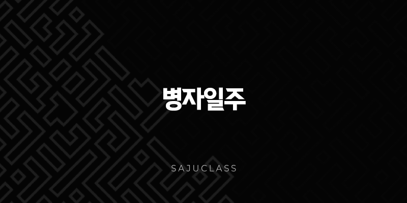 병자일주(+ 밤하늘의 빛나는 별, 총명함과 예민함의 조화) 1 image 74