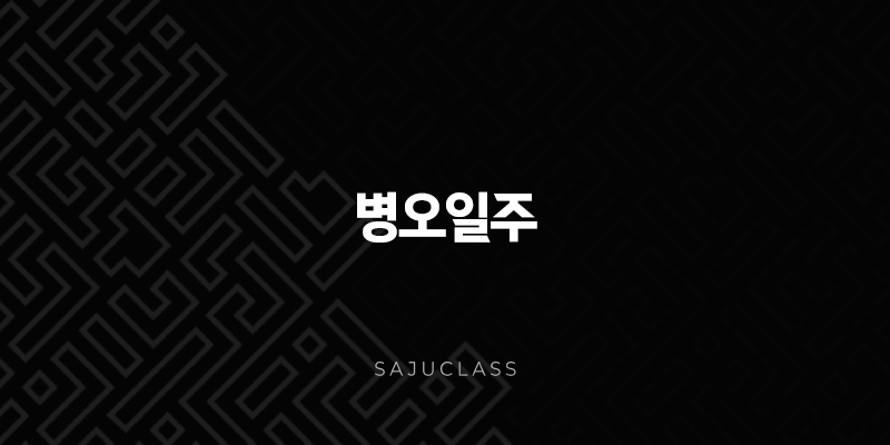 병오일주(+ 붉게 타오르는 태양의 기상, 강렬함과 솔직함의 에너지) 1 image 77