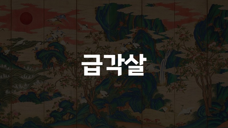 급각살