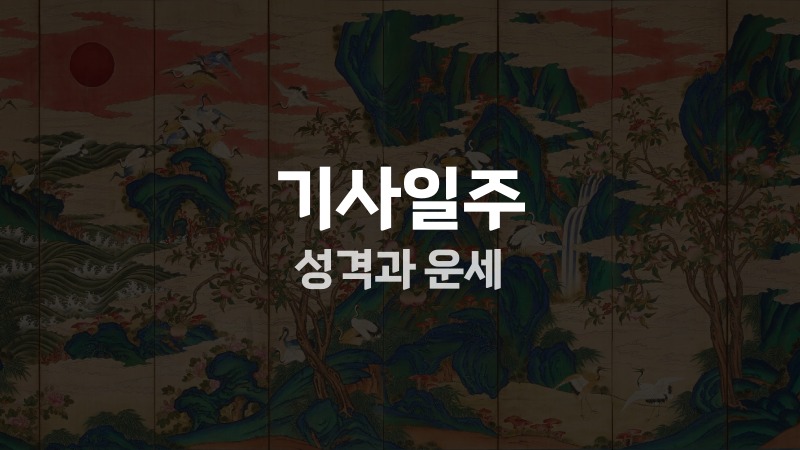 기사일주 성격과 운세