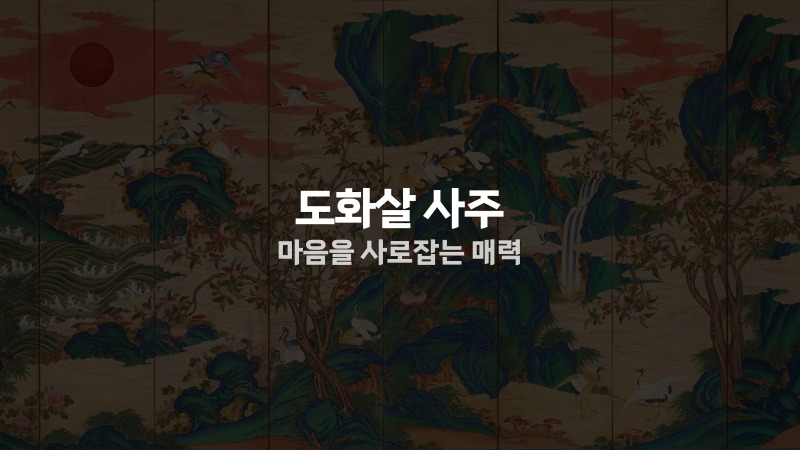 도화살 사주 마음을 사로잡는 매력