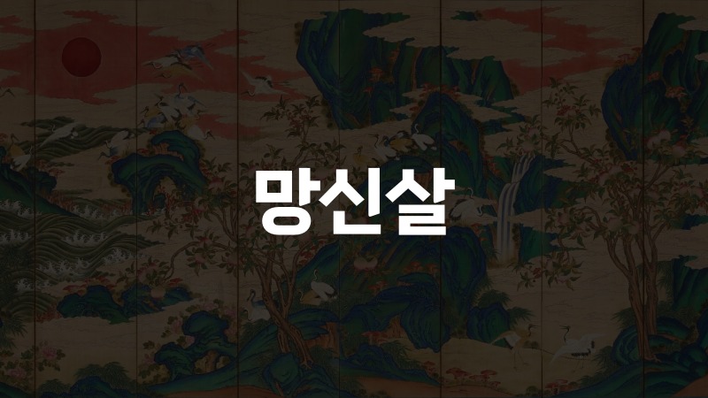 망신살