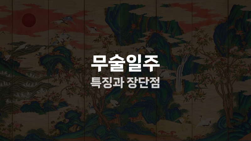 무술일주 특징과 장단점