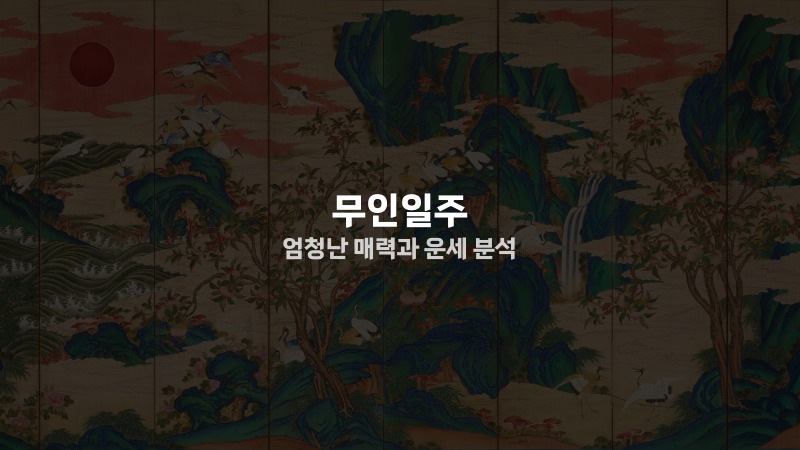 무인일주 엄청난 매력과 운세 분석