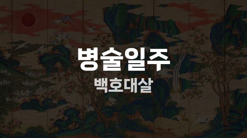 병술일주 백호대살