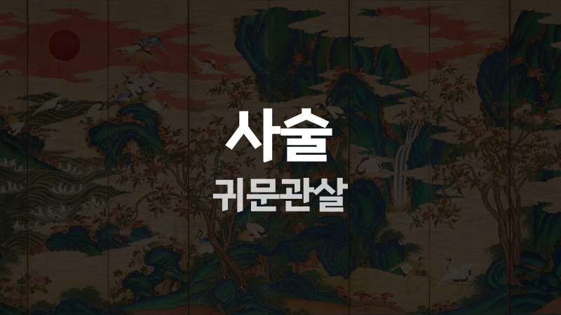 사술 귀문관살