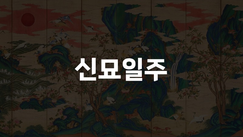 신묘일주