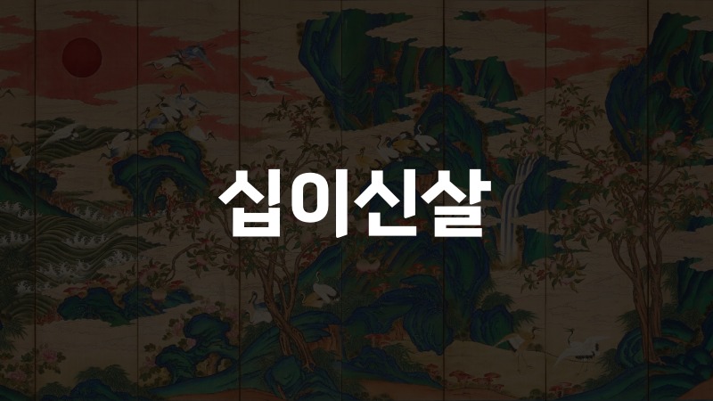 십이신살