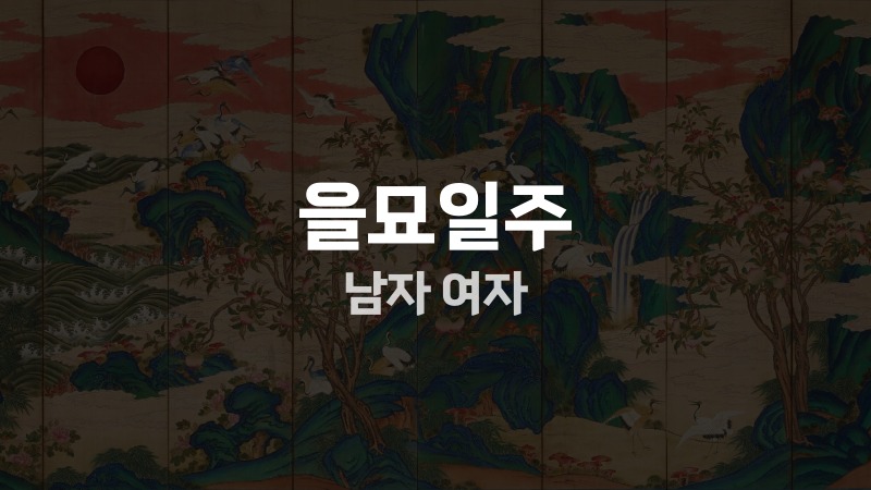 을묘일주 남자 여자