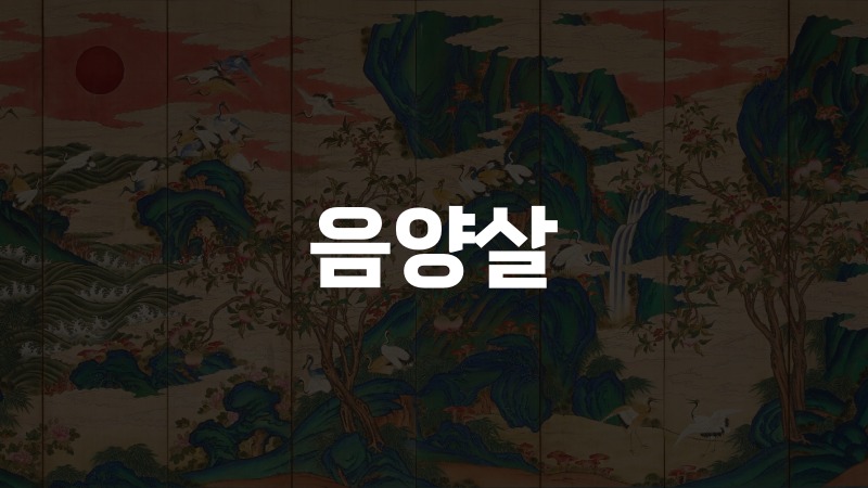 음양살