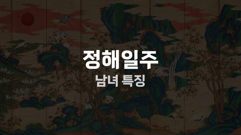 정해일주 남녀 특징