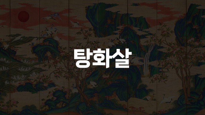 탕화살