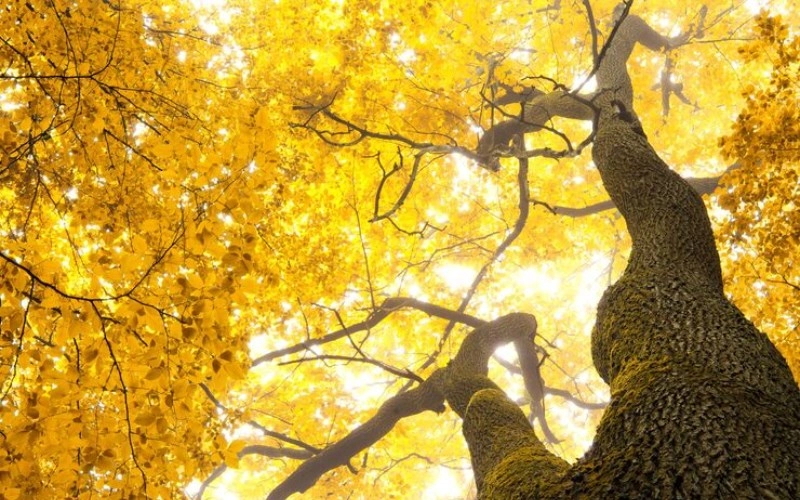 용신운 체감 용신운 체감 - 당신의 인생 황금기, 이런 신호가 나타나요! 7