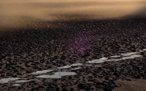 지원일기격 - 땅의 기운이 하나로 모인 특별한 운명 11