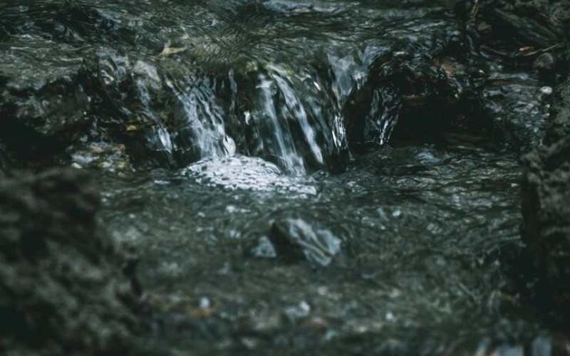 정란차격 - 깊은 샘물처럼 맑고 풍요로운 특별한 운명 1