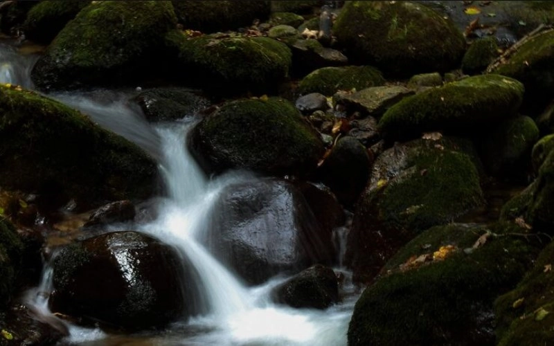 정란차격 - 깊은 샘물처럼 맑고 풍요로운 특별한 운명 7