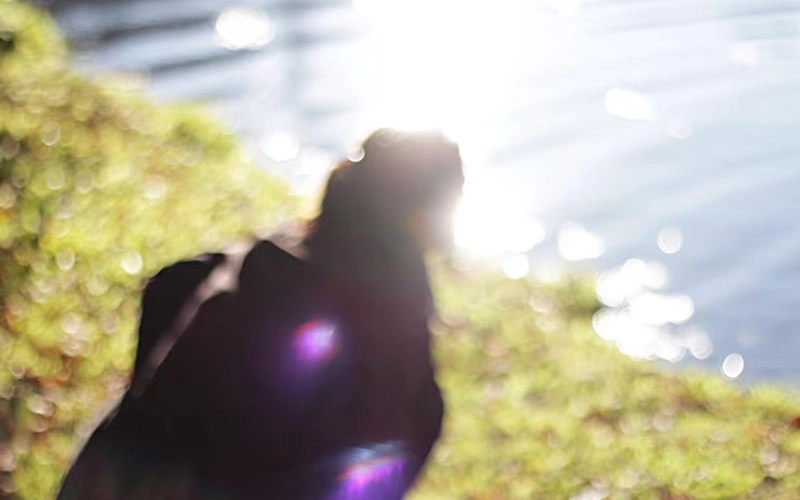 전록격 - 스스로 빛나는 삶, 풍요로운 복록의 특별한 운명 5