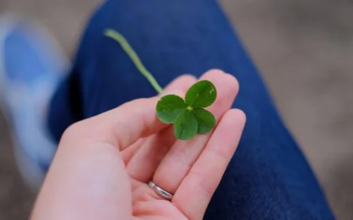 일덕격 - 어질고 복덕 많은 특별한 사주, 천운을 누릴 운명 23