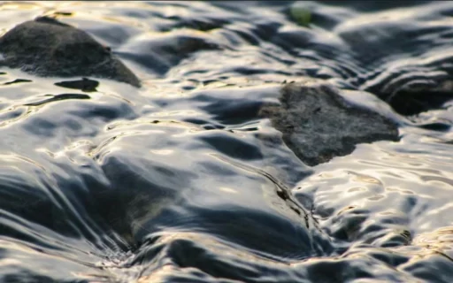 윤하격 - 끝없이 흐르는 물과 같은 지혜, 융통성과 포용력을 갖춘 격국 13