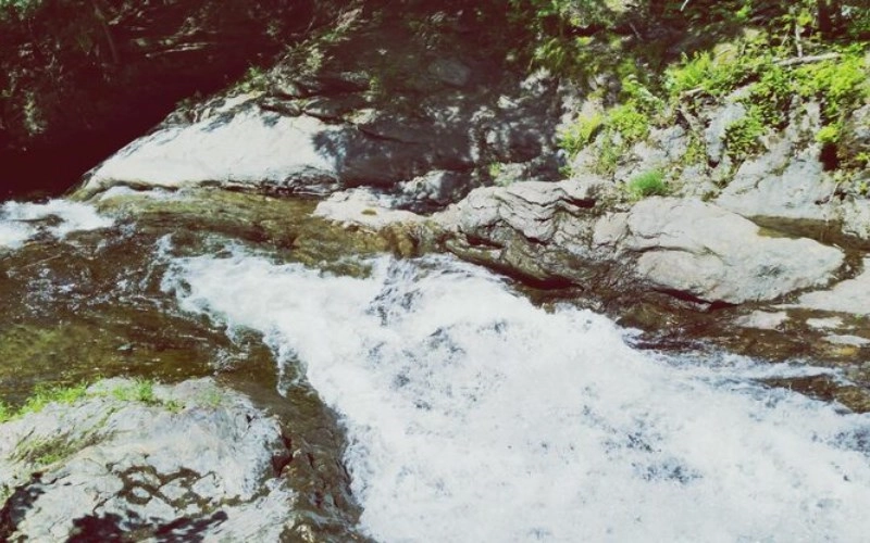 윤하격 - 끝없이 흐르는 물과 같은 지혜, 융통성과 포용력을 갖춘 격국 7