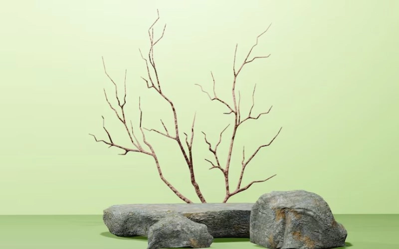 오행구족격 - 조화와 균형을 갖춘 특별한 사주, 만복을 누릴 가능성 5