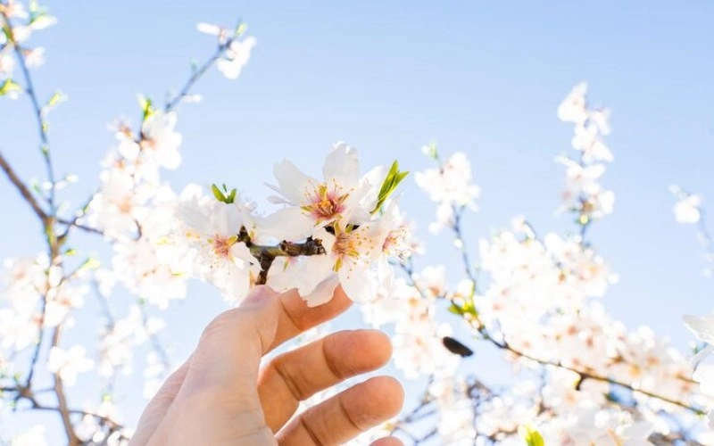 순중부잡격 - 네 기둥이 같은 순으로 이루어진 특별한 사주 1
