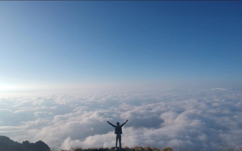 간지동체격 - 특별한 운명을 타고난 당신, 천상의 축복 6 간지동체격 - 특별한 운명을 타고난 당신, 천상의 축복 5