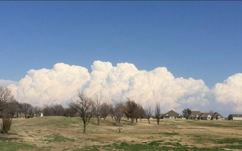 가색격의 특징과 삶의 지혜 - 풍요로운 대지를 닮은 운명 3
