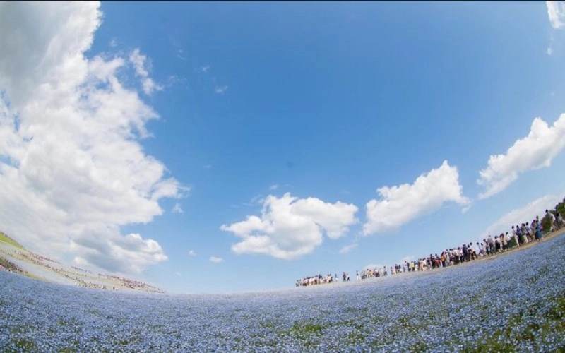 가색격의 특징과 삶의 지혜 - 풍요로운 대지를 닮은 운명 5