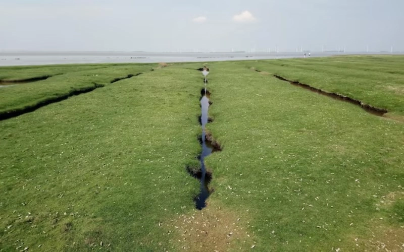 가색격의 특징과 삶의 지혜 - 풍요로운 대지를 닮은 운명 7